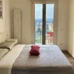 camera1